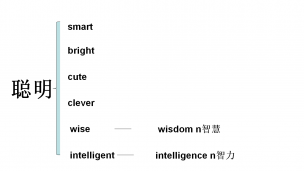 smart—bright—cute—clever—wise—intelligent