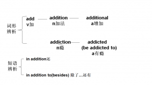 高中图表词汇辨析1--addition  addiction