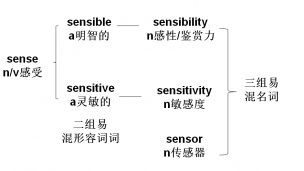 麒灵高考极简高频词sense-sensitive-sensible
