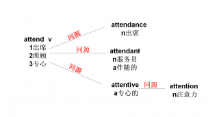 attend/attendant/addention-极简高频词高中
