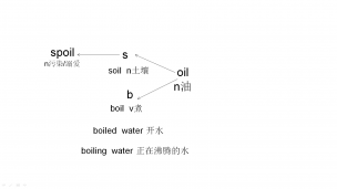麒灵中考高频词与速记31--oil-boil/soil