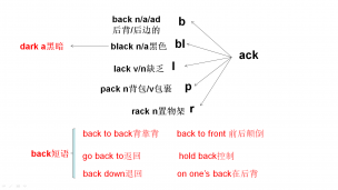 back-black-lack-pack-rack
