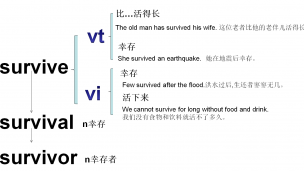 survive-survivor-survival