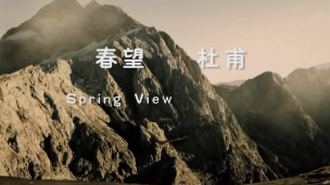 读书三十载，终知《春望》