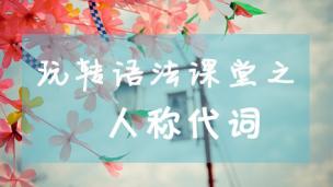 小学语法习题精讲——人称代词习题
